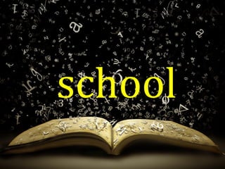 school
 