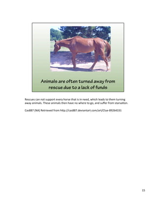 Rescues	
  can	
  not	
  support	
  every	
  horse	
  that	
  is	
  in	
  need,	
  which	
  leads	
  to	
  them	
  turning	
  
away	
  animals.	
  These	
  animals	
  then	
  have	
  no	
  where	
  to	
  go,	
  and	
  suﬀer	
  from	
  starva)on.	
  	
  
	
  
Cas887	
  (NA)	
  Retrieved	
  from	
  h&p://cas887.deviantart.com/art/Clue-­‐89264331	
  
15	
  
 