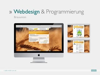 ›› Webdesign  Programmierung
                Brauunion




› radix wirbt um sie
 