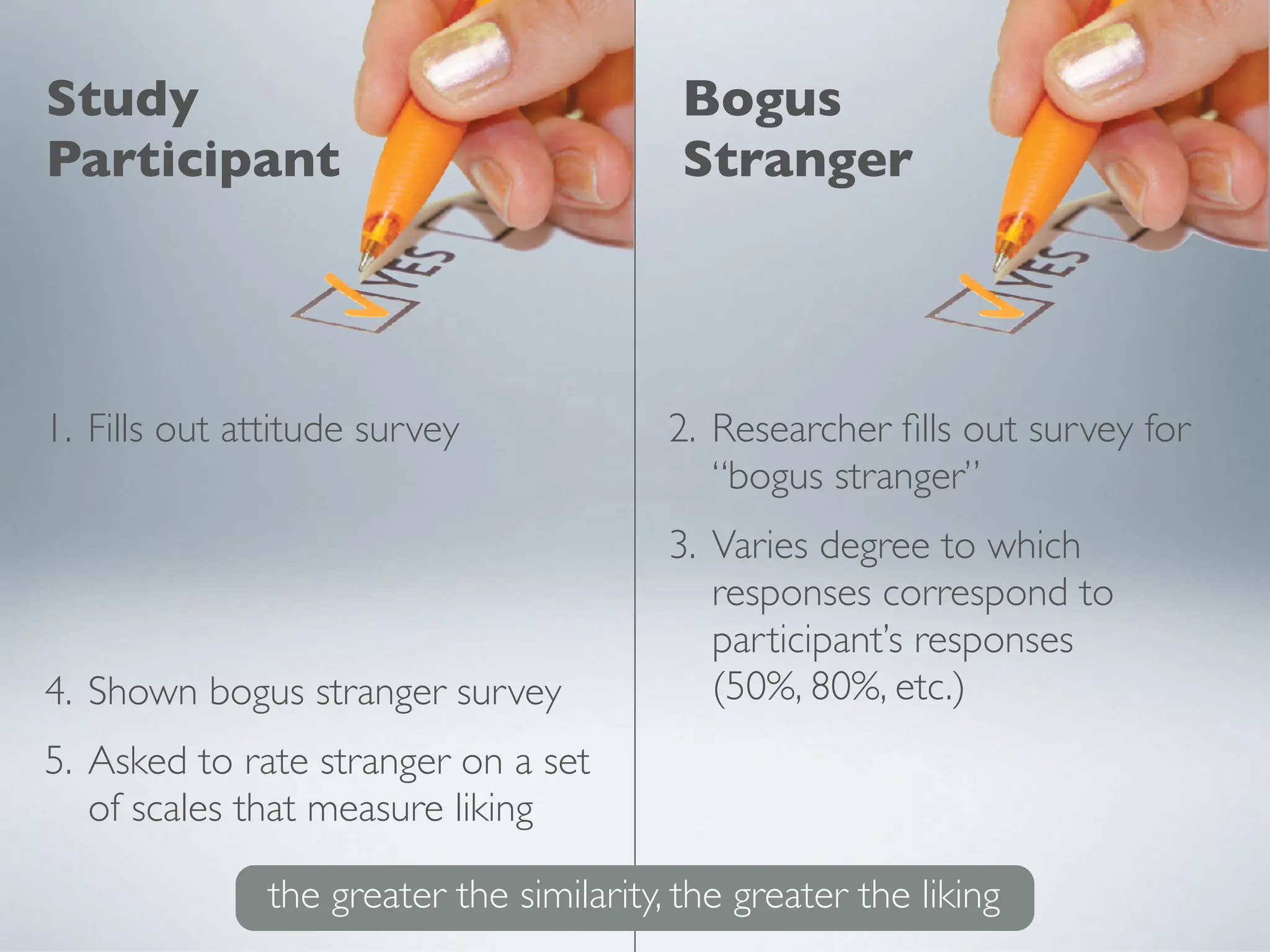 1. Fills out attitude survey
Study
Participant
Bogus
Stranger
2. Researcher
fi
lls out survey for
“bogus stranger”
3. Varies degree to which
responses correspond to
participant’s responses
(50%, 80%, etc.)
4. Shown bogus stranger survey
5. Asked to rate stranger on a set
of scales that measure liking
the greater the similarity, the greater the liking
 