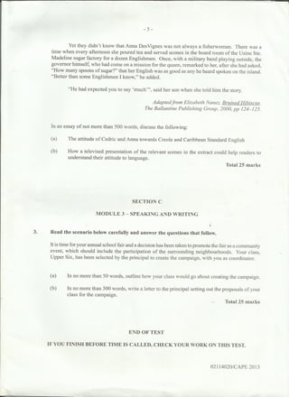 CAPE Communication studies 2013 paper 2