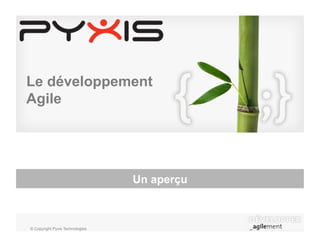Le développement
Agile




                                 Un aperçu



© Copyright Pyxis Technologies
 