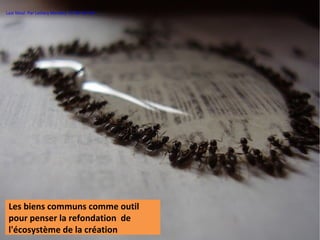 Last Meal. Par Lottery Monkey. CC-BY-NC-ND




 Les biens communs comme outil
 pour penser la refondation de
 l'écosystème de la création
 