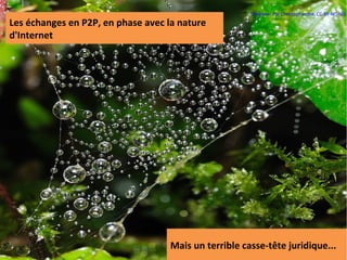 Diadème. Par Christophandre. CC-BY-NC-ND
Les échanges en P2P, en phase avec la nature
d'Internet




                                    Mais un terrible casse-tête juridique...
 