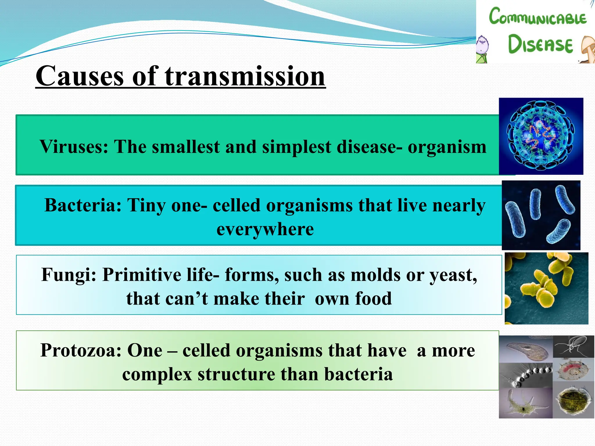 Causes of transmission
Viruses: The smallest and simplest disease- organism
Bacteria: Tiny one- celled organisms that live nearly
everywhere
Fungi: Primitive life- forms, such as molds or yeast,
that can’t make their own food
Protozoa: One – celled organisms that have a more
complex structure than bacteria
 