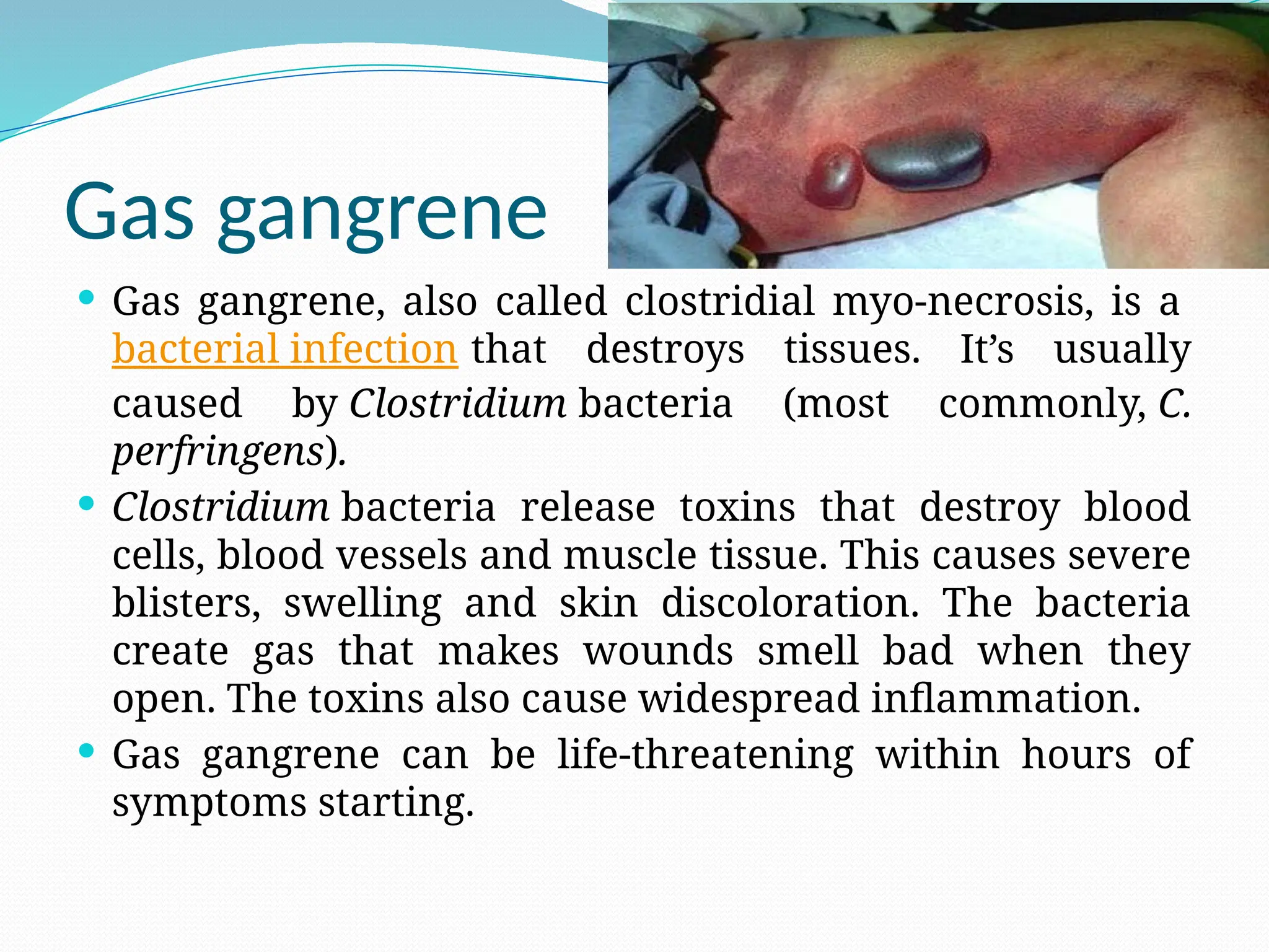 Gas gangrene
 Gas gangrene, also called clostridial myo-necrosis, is a
bacterial infection that destroys tissues. It’s usually
caused by Clostridium bacteria (most commonly, C.
perfringens).
 Clostridium bacteria release toxins that destroy blood
cells, blood vessels and muscle tissue. This causes severe
blisters, swelling and skin discoloration. The bacteria
create gas that makes wounds smell bad when they
open. The toxins also cause widespread inflammation.
 Gas gangrene can be life-threatening within hours of
symptoms starting.
 