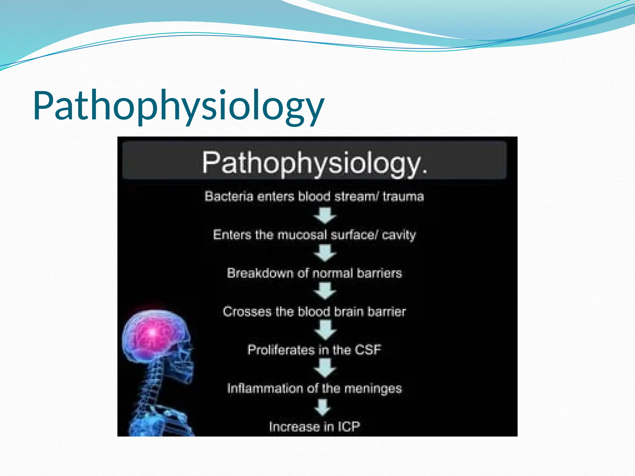 Pathophysiology
 