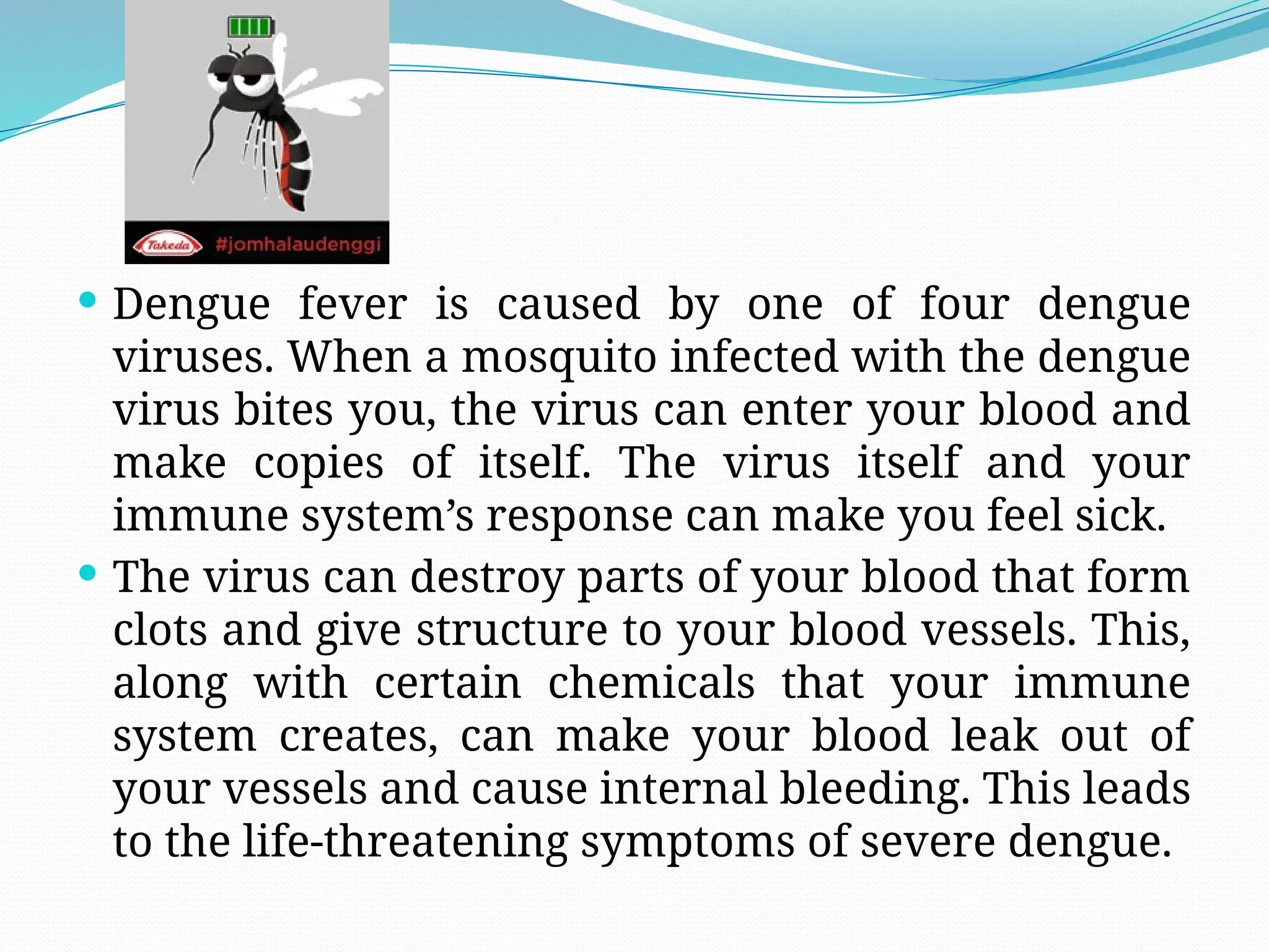  Dengue fever is caused by one of four dengue
viruses. When a mosquito infected with the dengue
virus bites you, the virus can enter your blood and
make copies of itself. The virus itself and your
immune system’s response can make you feel sick.
 The virus can destroy parts of your blood that form
clots and give structure to your blood vessels. This,
along with certain chemicals that your immune
system creates, can make your blood leak out of
your vessels and cause internal bleeding. This leads
to the life-threatening symptoms of severe dengue.
 