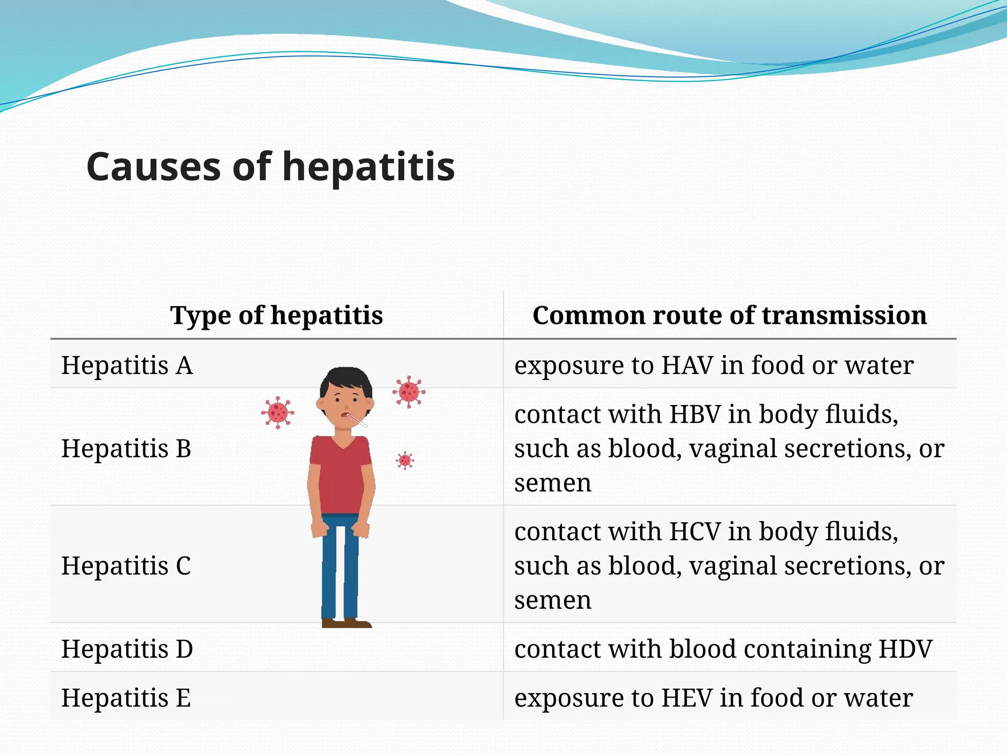Type of hepatitis Common route of transmission
Hepatitis A exposure to HAV in food or water
Hepatitis B
contact with HBV in body fluids,
such as blood, vaginal secretions, or
semen
Hepatitis C
contact with HCV in body fluids,
such as blood, vaginal secretions, or
semen
Hepatitis D contact with blood containing HDV
Hepatitis E exposure to HEV in food or water
Causes of hepatitis
 
