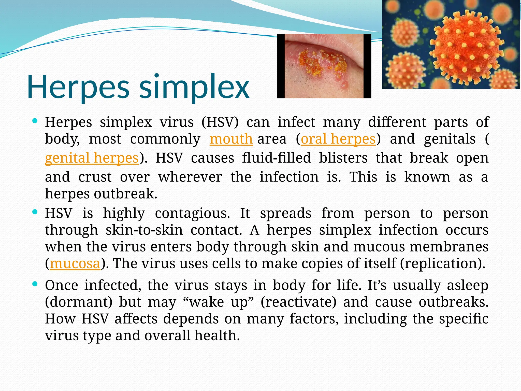 Herpes simplex
 Herpes simplex virus (HSV) can infect many different parts of
body, most commonly mouth area (oral herpes) and genitals (
genital herpes). HSV causes fluid-filled blisters that break open
and crust over wherever the infection is. This is known as a
herpes outbreak.
 HSV is highly contagious. It spreads from person to person
through skin-to-skin contact. A herpes simplex infection occurs
when the virus enters body through skin and mucous membranes
(mucosa). The virus uses cells to make copies of itself (replication).
 Once infected, the virus stays in body for life. It’s usually asleep
(dormant) but may “wake up” (reactivate) and cause outbreaks.
How HSV affects depends on many factors, including the specific
virus type and overall health.
 