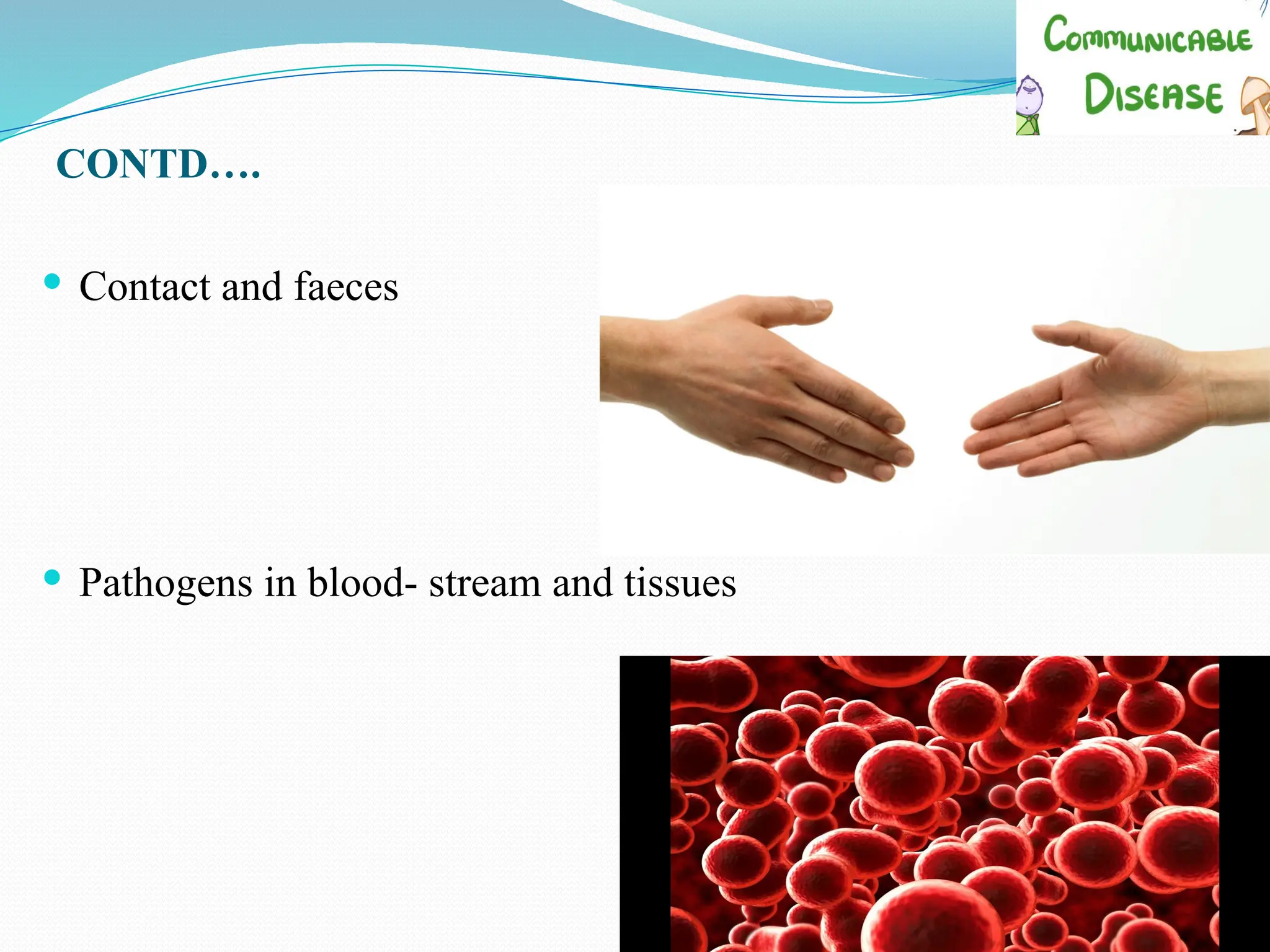 CONTD….
 Contact and faeces
 Pathogens in blood- stream and tissues
 