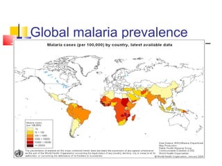 Global malaria prevalence
 