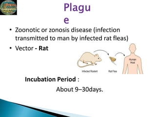 • Zoonotic or zonosis disease (infection
transmitted to man by infected rat fleas)
• Vector - Rat
Incubation Period :
About 9–30days.
 