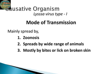 Lysssa virus type - I
Mode of Transmission
Mainly spread by,
1. Zoonosis
2. Spreads by wide range of animals
3. Mostly by bites or lick on broken skin
 