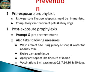 1. Pre-exposure prophylaxis


Risky persons like zoo keepers should be immunized.
Compulsory vaccination of pets & stray dogs.
1. Post-exposure prophylaxis
 Prompt & proper treatment
 Also take following measures,




Wash area of bite using plenty of soap & water for
about 5 min.
Excise damaged tissue
Apply antiseptics like tincture of iodine
Vaccination: 1 ml vaccine at 0,3,7,14,30 & 90 days.
 