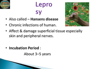 • Also called – Hansens disease
• Chronic infections of human.
• Affect & damage superficial tissue especially
skin and peripheral nerves.
• Incubation Period :
About 3–5 years
 