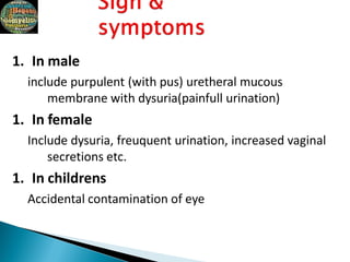 1. In male
include purpulent (with pus) uretheral mucous
membrane with dysuria(painfull urination)
1. In female
Include dysuria, freuquent urination, increased vaginal
secretions etc.
1. In childrens
Accidental contamination of eye
 