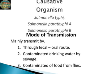 Mode of Transmission
Mainly transmit by,
1. Through fecal – oral route.
2. Contaminated drinking water by
sewage.
3. Contaminated of food from flies.
 