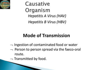 Hepatitis A Virus (HAV)
Hepatitis B Virus (HBV)
Mode of Transmission
 Ingestion of contaminated food or water
 Person to person spread via the faeco-oral
route.
 Transmitted by food.
 
