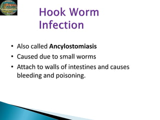 • Also called Ancylostomiasis
• Caused due to small worms
• Attach to walls of intestines and causes
bleeding and poisoning.
 