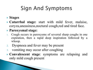  Stages
 Catarrhal stage: start with mild fever, malaise,
coryza,uneasiness,noctural cough,red and tired face.
 Paroxysmal stage:
1. Cough occurs in paroxysms of severral sharp coughs in one
expiration, then a rapid deep inspiration followed by a
whoop.
2. Dyspnoea and fever may be present
3. vomiting may occur after coughing
 Convalescent stage: symptoms are relapsing and
only mild cough present
 