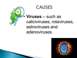 • Viruses – such as
caliciviruses, rotaviruses,
astroviruses and
adenoviruses.
 