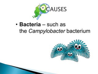 • Bacteria – such as
the Campylobacter bacterium
 