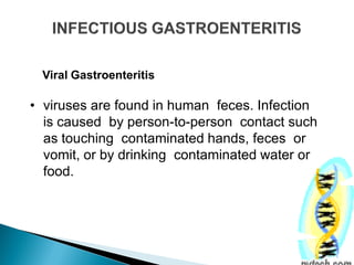 Viral Gastroenteritis
• viruses are found in human feces. Infection
is caused by person-to-person contact such
as touching contaminated hands, feces or
vomit, or by drinking contaminated water or
food.
 