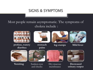 Most people remain asymptomatic. The symptoms of
cholera include :
profuse, watery
diarrhea
stomach
pains
leg cramps Mild fever
Vomiting Sunken eyes
and cheeks
Dry mucous
membranes
Decreased
urinary output
 