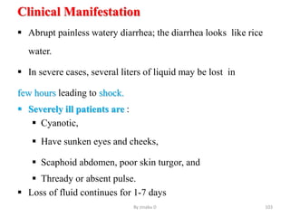Clinical Manifestation
 Abrupt painless watery diarrhea; the diarrhea looks like rice
water.
 In severe cases, several liters of liquid may be lost in
few hours leading to shock.
 Severely ill patients are :
 Cyanotic,
 Have sunken eyes and cheeks,
 Scaphoid abdomen, poor skin turgor, and
 Thready or absent pulse.
 Loss of fluid continues for 1-7 days
By zinabu D 103
 