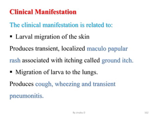Clinical Manifestation
The clinical manifestation is related to:
 Larval migration of the skin
Produces transient, localized maculo papular
rash associated with itching called ground itch.
 Migration of larva to the lungs.
Produces cough, wheezing and transient
pneumonitis.
By zinabu D 162
 