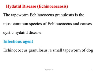 Hydatid Disease (Echinococcosis)
The tapeworm Echinococcus granulosus is the
most common species of Echinococcus and causes
cystic hydatid disease.
Infectious agent
Echinococcus granulosus, a small tapeworm of dog
By zinabu D 172
 