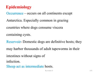 Epidemiology
Occurrence – occurs on all continents except
Antarctica. Especially common in grazing
countries where dogs consume viscera
containing cysts.
Reservoir- Domestic dogs are definitive hosts; they
may harbor thousands of adult tapeworms in their
intestines without signs of
infection.
Sheep act as intermediate hosts.
By zinabu D 173
 