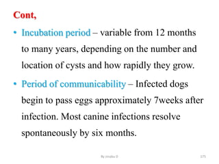 Cont,
• Incubation period – variable from 12 months
to many years, depending on the number and
location of cysts and how rapidly they grow.
• Period of communicability – Infected dogs
begin to pass eggs approximately 7weeks after
infection. Most canine infections resolve
spontaneously by six months.
By zinabu D 175
 