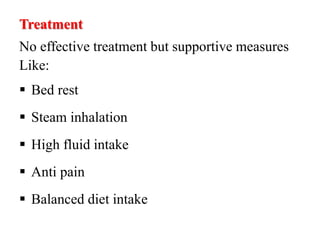 Treatment
No effective treatment but supportive measures
Like:
 Bed rest
 Steam inhalation
 High fluid intake
 Anti pain
 Balanced diet intake
 