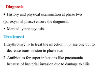 Diagnosis
 History and physical examination at phase two
(paroxysmal phase) ensure the diagnosis.
 Marked lymphocytosis.
Treatment
1.Erythromycin- to treat the infection in phase one but to
decrease transmission in phase two
2. Antibiotics for super infections like pneumonia
because of bacterial invasion due to damage to cilia
 