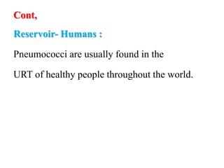 Cont,
Reservoir- Humans :
Pneumococci are usually found in the
URT of healthy people throughout the world.
 