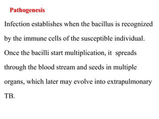 Pathogenesis
Infection establishes when the bacillus is recognized
by the immune cells of the susceptible individual.
Once the bacilli start multiplication, it spreads
through the blood stream and seeds in multiple
organs, which later may evolve into extrapulmonary
TB.
 