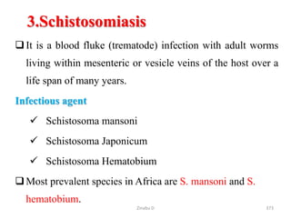 3.Schistosomiasis
It is a blood fluke (trematode) infection with adult worms
living within mesenteric or vesicle veins of the host over a
life span of many years.
Infectious agent
 Schistosoma mansoni
 Schistosoma Japonicum
 Schistosoma Hematobium
Most prevalent species in Africa are S. mansoni and S.
hematobium.
373
Zinabu D
 