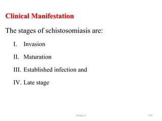 Clinical Manifestation
The stages of schistosomiasis are:
I. Invasion
II. Maturation
III. Established infection and
IV. Late stage
379
Zinabu D
 