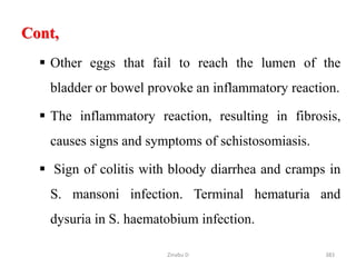 Cont,
 Other eggs that fail to reach the lumen of the
bladder or bowel provoke an inflammatory reaction.
 The inflammatory reaction, resulting in fibrosis,
causes signs and symptoms of schistosomiasis.
 Sign of colitis with bloody diarrhea and cramps in
S. mansoni infection. Terminal hematuria and
dysuria in S. haematobium infection.
383
Zinabu D
 