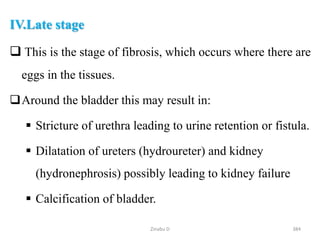 IV.Late stage
 This is the stage of fibrosis, which occurs where there are
eggs in the tissues.
Around the bladder this may result in:
 Stricture of urethra leading to urine retention or fistula.
 Dilatation of ureters (hydroureter) and kidney
(hydronephrosis) possibly leading to kidney failure
 Calcification of bladder.
384
Zinabu D
 