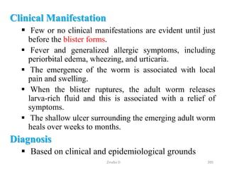 Clinical Manifestation
 Few or no clinical manifestations are evident until just
before the blister forms.
 Fever and generalized allergic symptoms, including
periorbital edema, wheezing, and urticaria.
 The emergence of the worm is associated with local
pain and swelling.
 When the blister ruptures, the adult worm releases
larva-rich fluid and this is associated with a relief of
symptoms.
 The shallow ulcer surrounding the emerging adult worm
heals over weeks to months.
Diagnosis
 Based on clinical and epidemiological grounds
395
Zinabu D
 