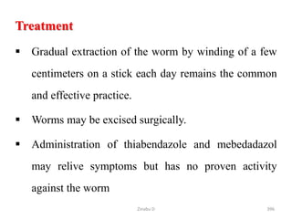 Treatment
 Gradual extraction of the worm by winding of a few
centimeters on a stick each day remains the common
and effective practice.
 Worms may be excised surgically.
 Administration of thiabendazole and mebedadazol
may relive symptoms but has no proven activity
against the worm
396
Zinabu D
 