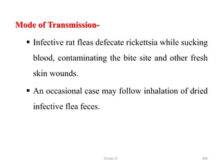 Mode of Transmission-
 Infective rat fleas defecate rickettsia while sucking
blood, contaminating the bite site and other fresh
skin wounds.
 An occasional case may follow inhalation of dried
infective flea feces.
400
Zinabu D
 