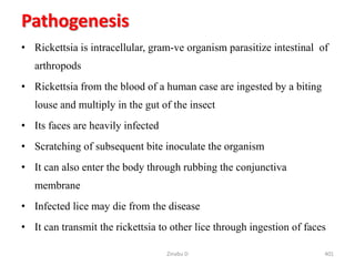 Pathogenesis
• Rickettsia is intracellular, gram-ve organism parasitize intestinal of
arthropods
• Rickettsia from the blood of a human case are ingested by a biting
louse and multiply in the gut of the insect
• Its faces are heavily infected
• Scratching of subsequent bite inoculate the organism
• It can also enter the body through rubbing the conjunctiva
membrane
• Infected lice may die from the disease
• It can transmit the rickettsia to other lice through ingestion of faces
Zinabu D 401
 