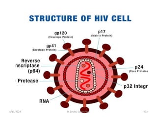 5/11/2024 503
BY Zinabu Dawit(PBsc)
 