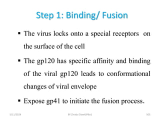 Step 1: Binding/ Fusion
5/11/2024 505
 The virus locks onto a special receptors on
the surface of the cell
 The gp120 has specific affinity and binding
of the viral gp120 leads to conformational
changes of viral envelope
 Expose gp41 to initiate the fusion process.
BY Zinabu Dawit(PBsc)
 