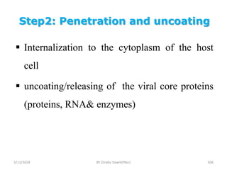 Step2: Penetration and uncoating
5/11/2024 506
 Internalization to the cytoplasm of the host
cell
 uncoating/releasing of the viral core proteins
(proteins, RNA& enzymes)
BY Zinabu Dawit(PBsc)
 