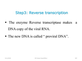 Step3: Reverse transcription
5/11/2024 507
 The enzyme Reverse transcriptase makes a
DNA copy of the viral RNA.
 The new DNA is called “ proviral DNA”.
BY Zinabu Dawit(PBsc)
 